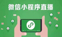 微信小程序开发、直播小程序开发-锐智互动软件开发公司 
