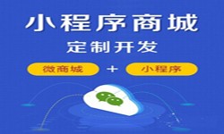 微信小程序开发、商城小程序开发功能-锐智互动软件开发